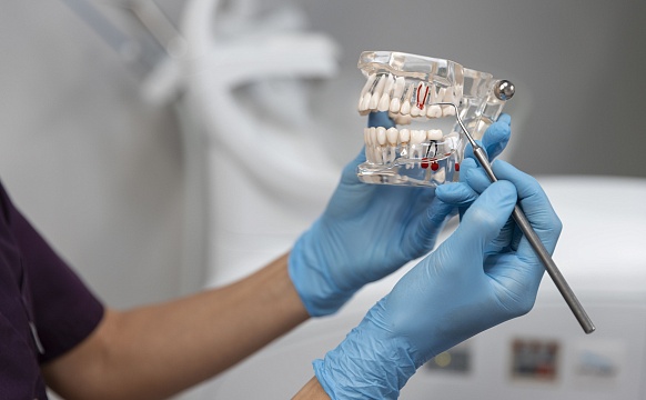 Ортодонтия